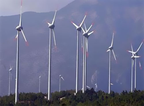 �S˹��˹��Palisade�ṩ�L늈�����耳׽�Q����